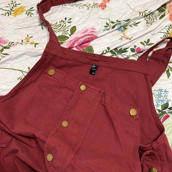 Brand NWOT CIDER overalls! - Picture 2 of 5